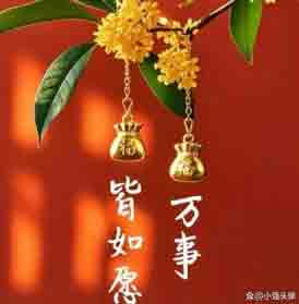 评论用户头像